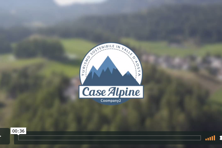 Spot Case Alpine